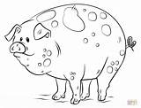 Pig Porcos Porquinho Colouring Pigs Piggy Cochon Cartoni Desenho Animati Cartoons Zeichnen sketch template