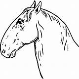 Horsehead حصان راس صوره تلوين I2clipart sketch template