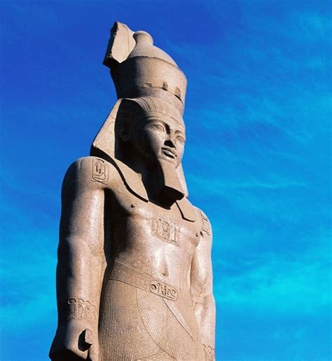 king ramses ii takes  position   grand egyptian museum news breaking travel news