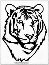 Tiger Coloring Pages Realistic Getcolorings sketch template
