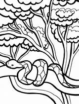 Coloring Snake Pages Color Animals Animal Print Back sketch template