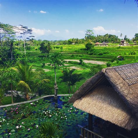 4 Reasons A Trip To Southeast Asia Is Good For The Soul