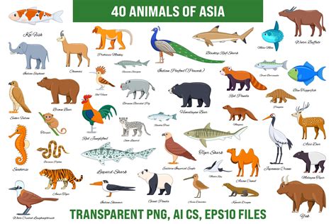 endangered animals  asia