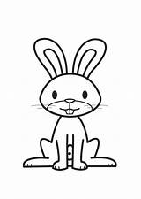 Coloring Rabbit sketch template