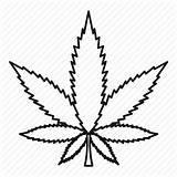 Leaf Marijuana Outline Plant Cannabis Line Drawing Icon Style Addiction Narcotic Background Drawings Icons Getdrawings Vector Illustration Iconfinder Paintingvalley Isolated sketch template