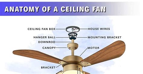 electrical wiring diagram ceiling fan ceiling fan wiring diagram  switches photo armand