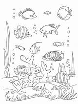 Coloring Pages Sea Coral Printable Getcolorings Print Seaweed sketch template