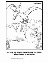 Pteranodon sketch template