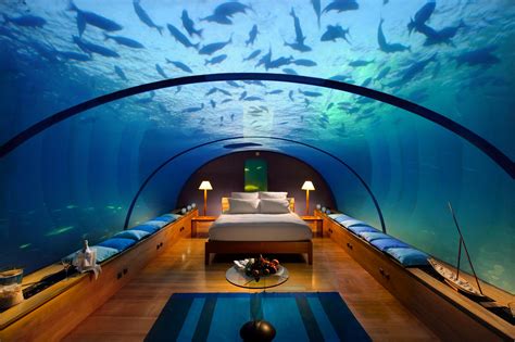 maldives  underwater suite