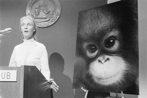 jane goodall early life hot sex picture
