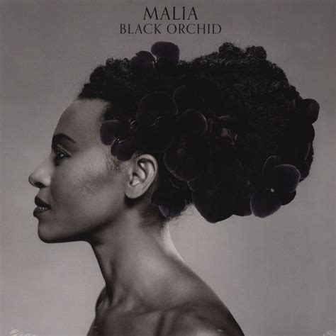 malia black orchid releases reviews credits discogs