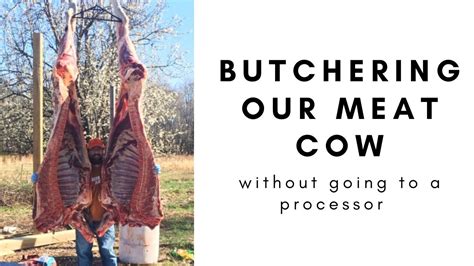 harvesting butchering  processing  family meat