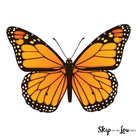 printable butterfly coloring page butterfly coloring page