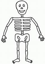 Skeleton Coloring Printable Pages Kids Easy Drawing Library Clipart sketch template