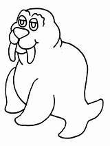 Walrus Coloring Pages Animals Printable Kids Easy Print Clipart Clip Popular Coloringbay Book Advertisement sketch template