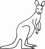 Kangaroo Coloring Pages Clipart Cartoon Kids Cliparts Coloringbay Library sketch template
