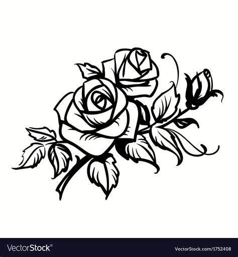rose black  white outline