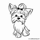 Yorkie Terrier Yorkshire Clipartmag Bettercoloring sketch template