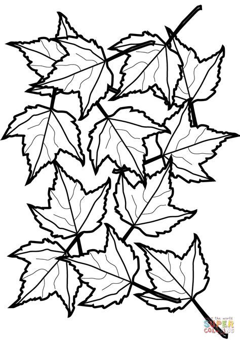 maple leaf coloring clipart