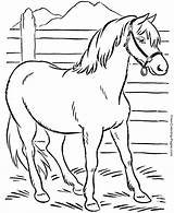Kids Coloring Pages Horse Printable Color Print Outs Cartoon Facts sketch template