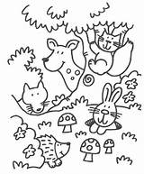 Forest Animals Animali Dieren Kids Selva Ausmalbilder Kinder Cute Bos Natuur Herfst Ausmalen Bosdieren Colorare Animaizinhos Colorir Floresta Bosco Woodland sketch template