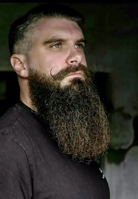 long beard styles  distinguished men  trends bald beards