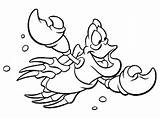 Coloring Mermaid Crab Supercoloring sketch template