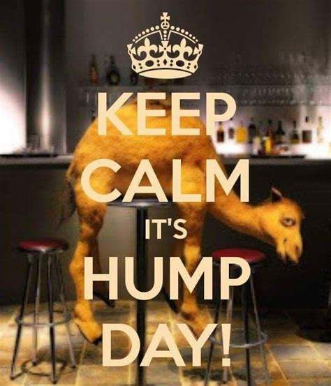 Pin By Adam Barrington On Hump Day Keep Calm Calm Keep