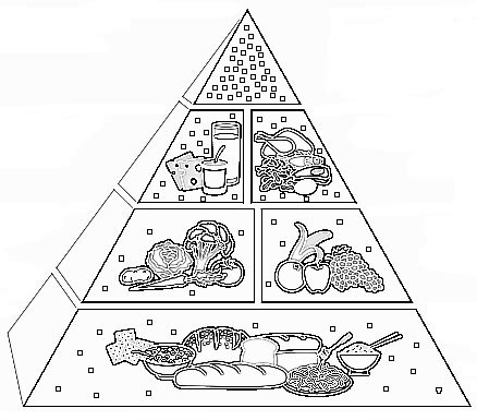 images  protein food group worksheet protein food group