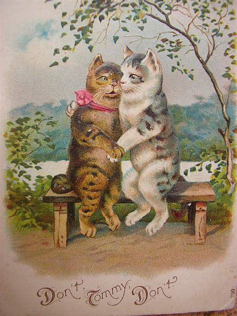 Vintage Cats Postcard Cats Illustration Beautiful Cats Pictures Cat Art
