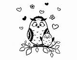 Owl Coloring Mother Coloringcrew sketch template