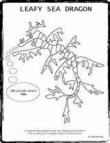 Leafy Coloring Seadragon Sea Dragon Pages Designlooter Cartoon 226px 16kb Animals sketch template