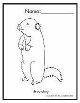Groundhog Lessonpix Coloring Sheets Pinned Created Sheet sketch template