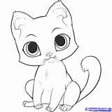 Easy Draw Cats Kitten Trace Step Kittens Drawings Drawing Cat Cute Cartoon Color Colouring Pages Dragoart Kitty Steps Ki Siamese sketch template