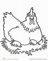 Hen Galinha Colorir Chickens Daybreak Hens Eggs Children Hatch 52kb Anagiovanna sketch template