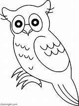 Owl Coloring Pages sketch template