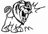 Lion Clipart Roaring Clip Roar Cartoon Lions Cliparts Face Hungry Medieval African Clipartix Library Clipartmag Lioness Find Clipartbest Clipground Use sketch template