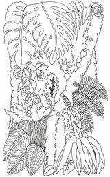 Coloring Umbrella Pages Brett Jan Tree Trunk Mural Printable Adults Adult sketch template