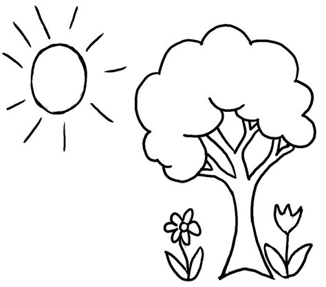 pictures  spring tree coloring pages  kids tree coloring