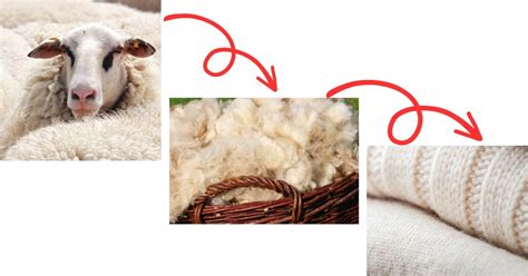 wool fabric properties  wool    great sewguide