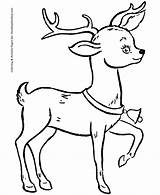 Reindeer Coloring Santa Pages Christmas Sheet Print Bell Cute Honkingdonkey Gif sketch template
