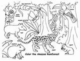 Rainforest Coloring Animals Pages Tropical Animal Amazon Kids Endangered Drawing Printable Real Life Color Print Capybara Getcolorings Drawings Colorings Getdrawings sketch template