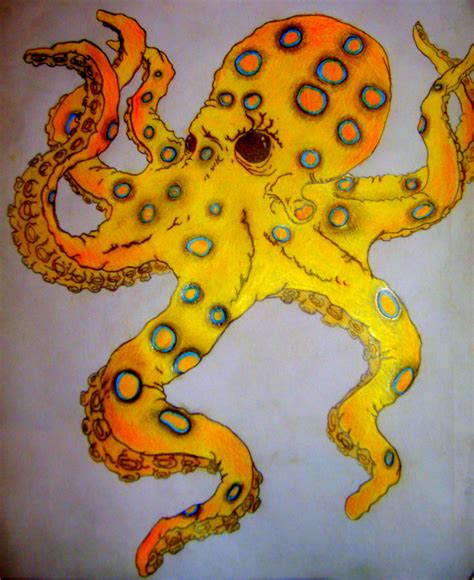 octopus drawing  livingcolor  deviantart