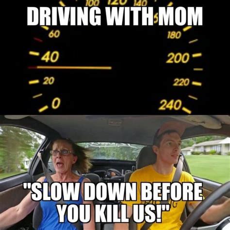hilarious driving memes sayingimagescom   driving