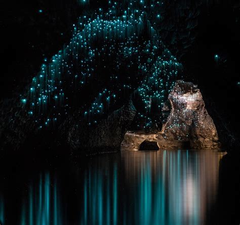magical  zealand cave  illuminated  luminescent glowworms glowworm caves luminescent