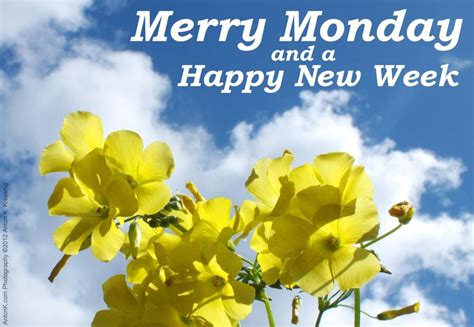 merry monday  happy  week morning quotes