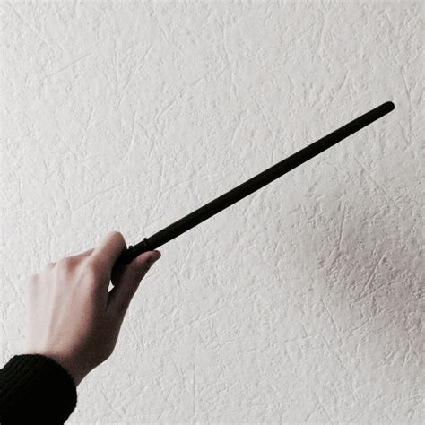 Best 25 Hermiones Wand Ideas On Pinterest Harry Potter