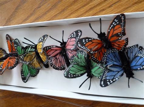 butterflies decoration set   saanich victoria