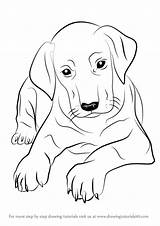 Dog Drawing Simple Practice Follow sketch template
