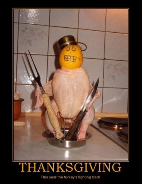 Funny Thanksgiving Pictures 35 Pics Funny Thanksgiving Pictures